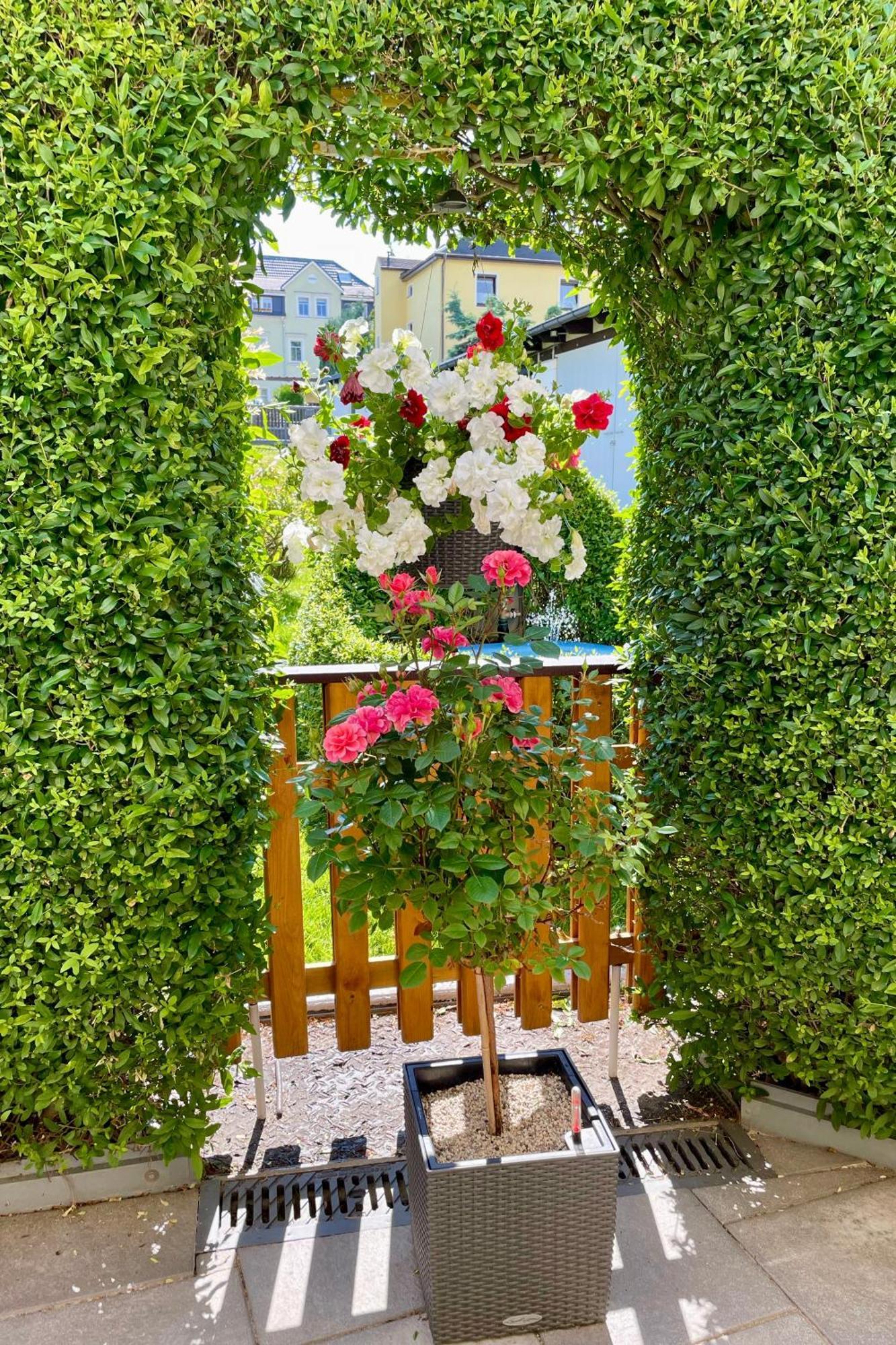 Ferienwohnung Haus Feig Geyer ภายนอก รูปภาพ