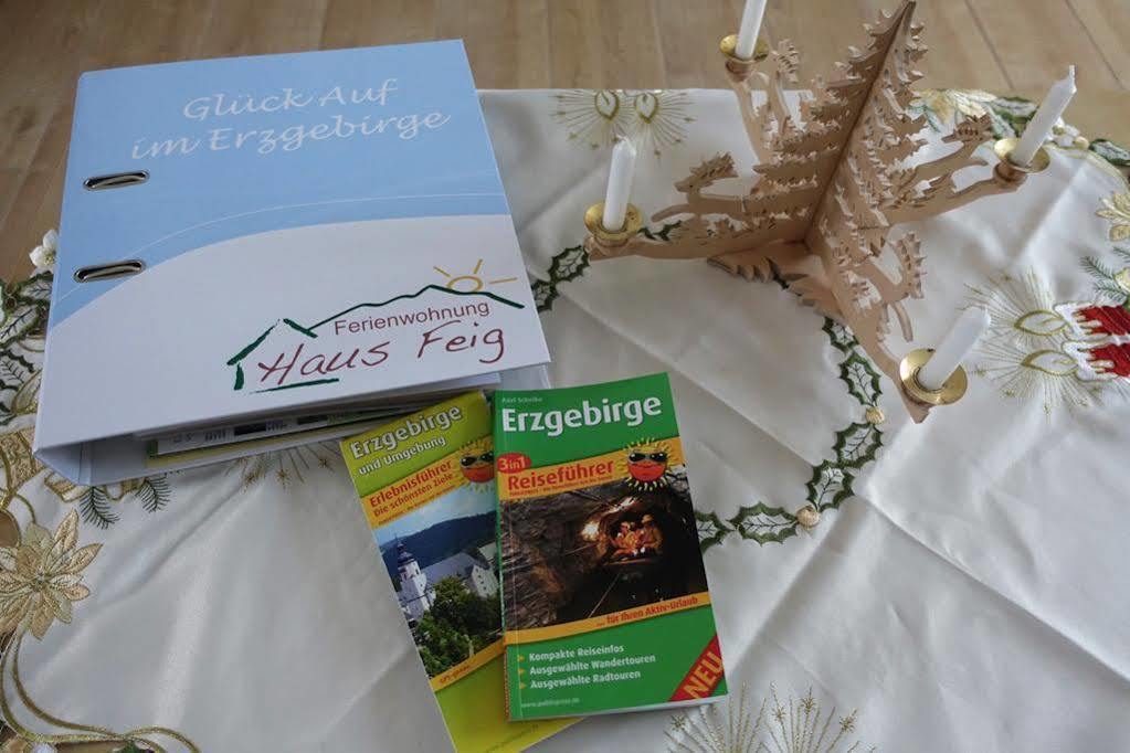 Ferienwohnung Haus Feig Geyer ภายนอก รูปภาพ